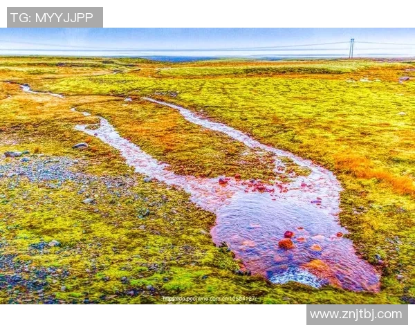 中国足球迎战冰岛队期待突破重围展现实力与风采